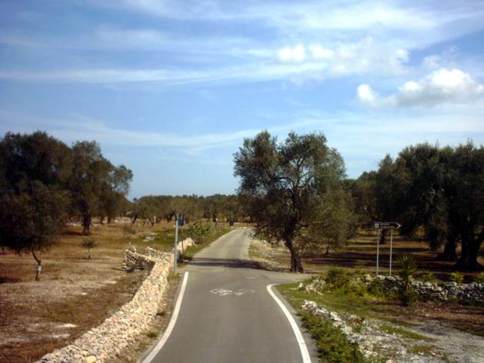 Cilclabile nel Salento . foto Francesco Arioldi - riproduzione vietata