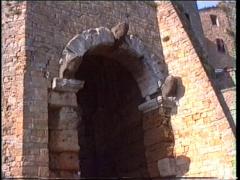 volterra13