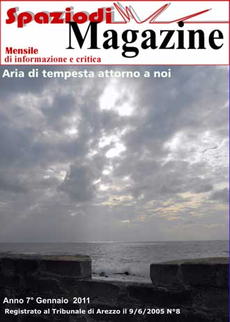 copertina gennaio 2011