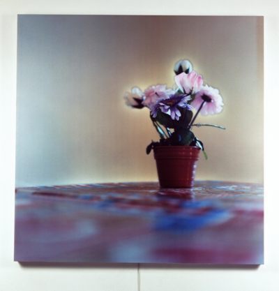 Elisa Sighicelli: flower pot